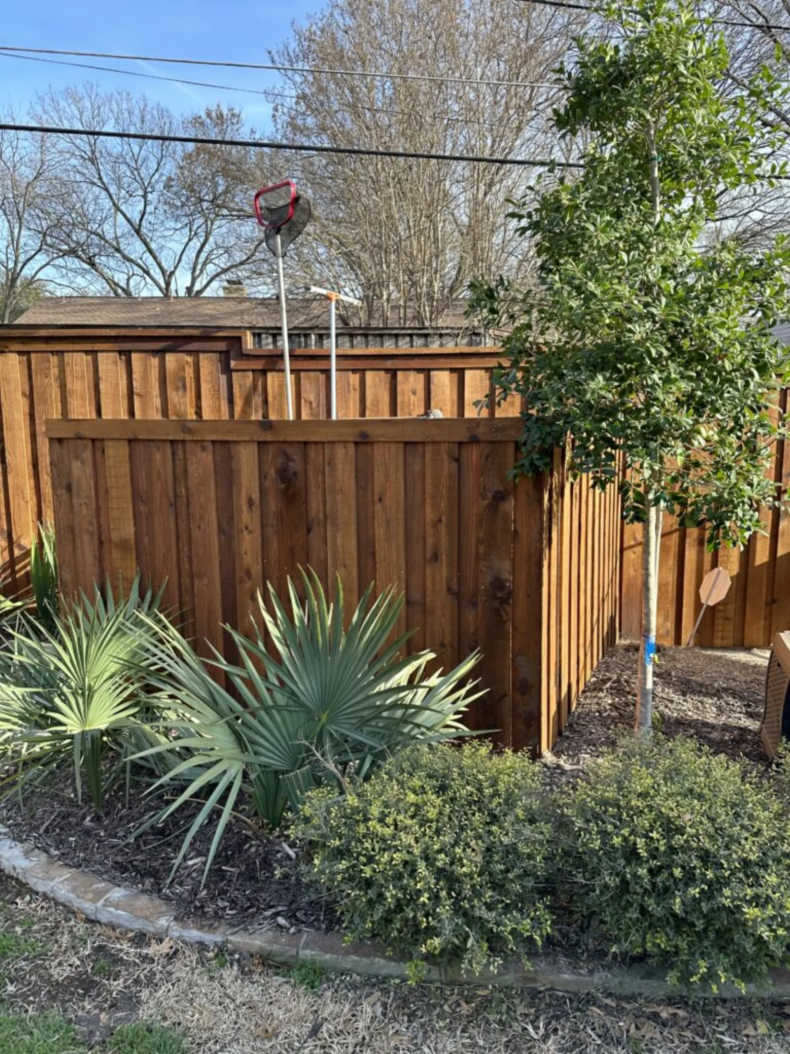 Board-on-board cedar privacy fence with cap rail in Pearland TX