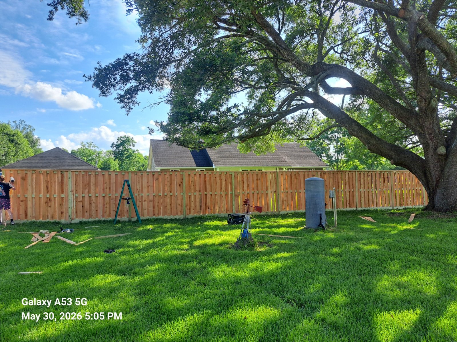 Cedar shadow box fence around an oak tree in Pearland TX